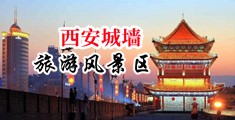 欧美大阴户暴肏双插中国陕西-西安城墙旅游风景区