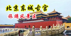 抠逼高潮视频中国北京-东城古宫旅游风景区